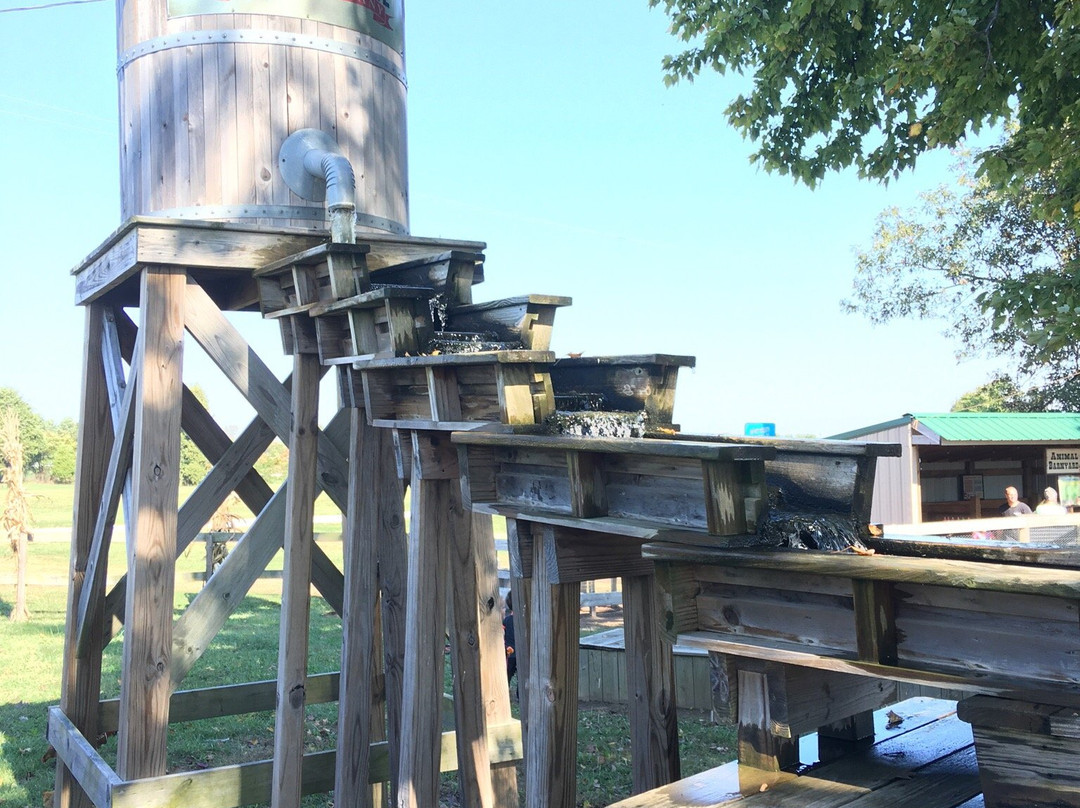 Trunnell's Farm Market & Family Fun Acre景点图片