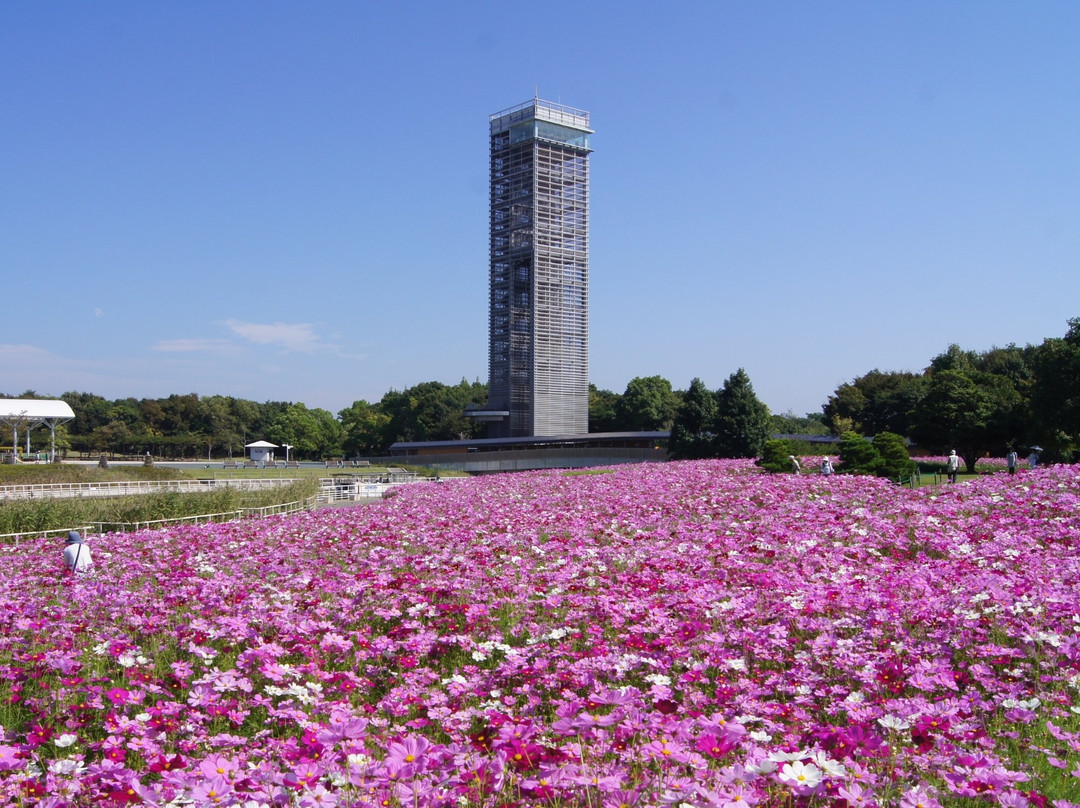 滨松花卉公园-滨松市必去景点