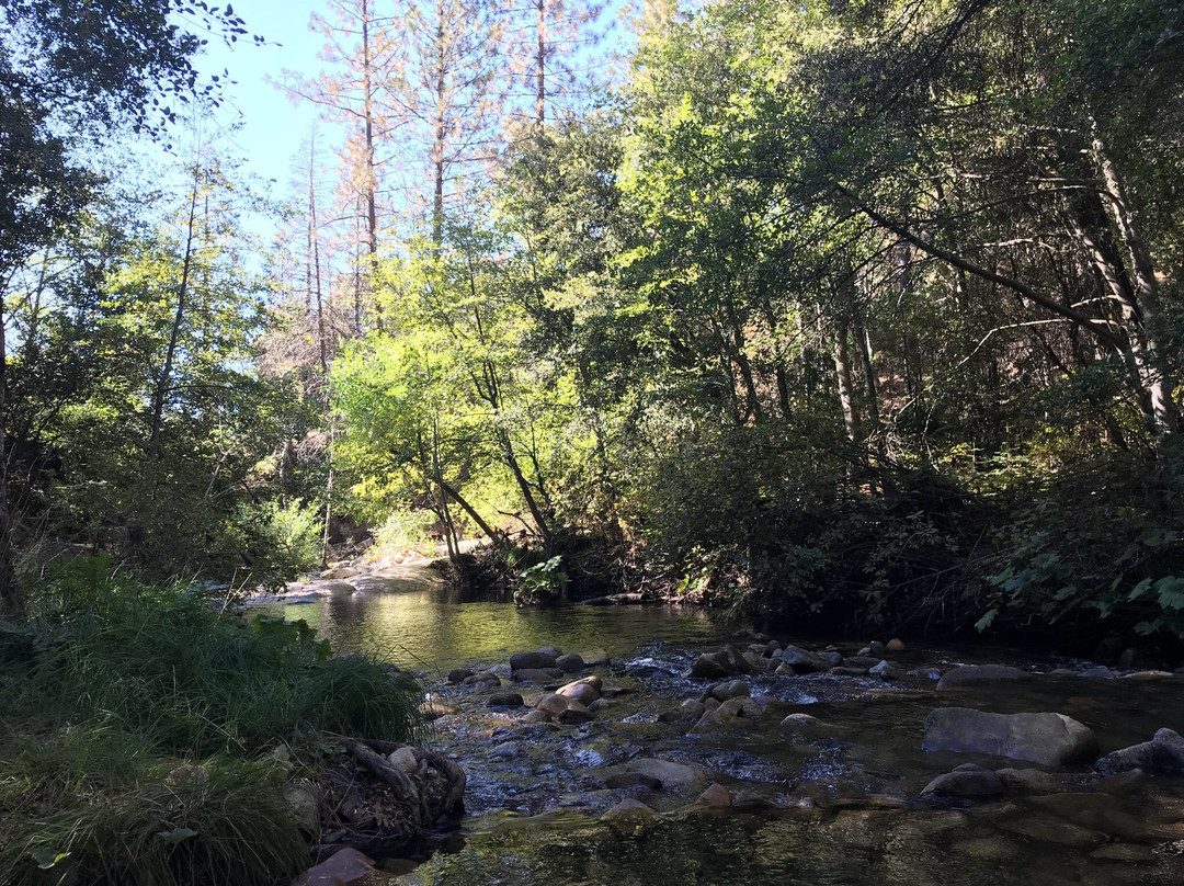 Willow Creek Trail景点图片