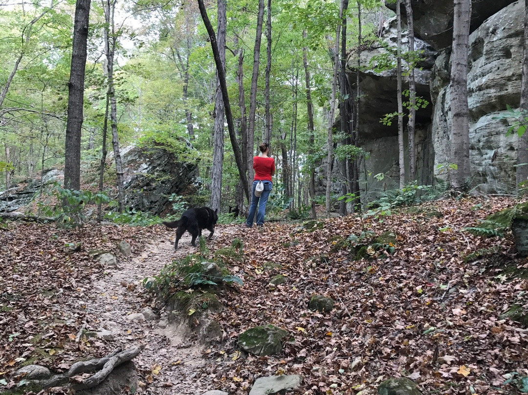 Jackson Falls Trail景点图片