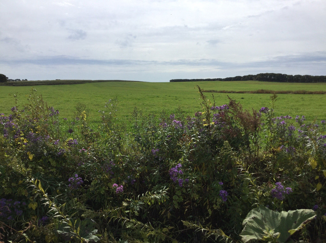 Breeders Stallions Station-日高町必去景点