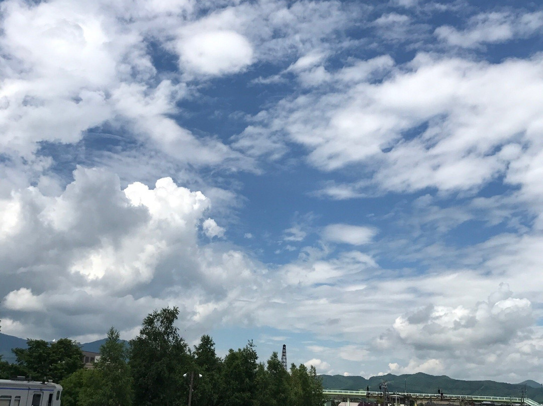 札幌普乐美雅椿酒店主图