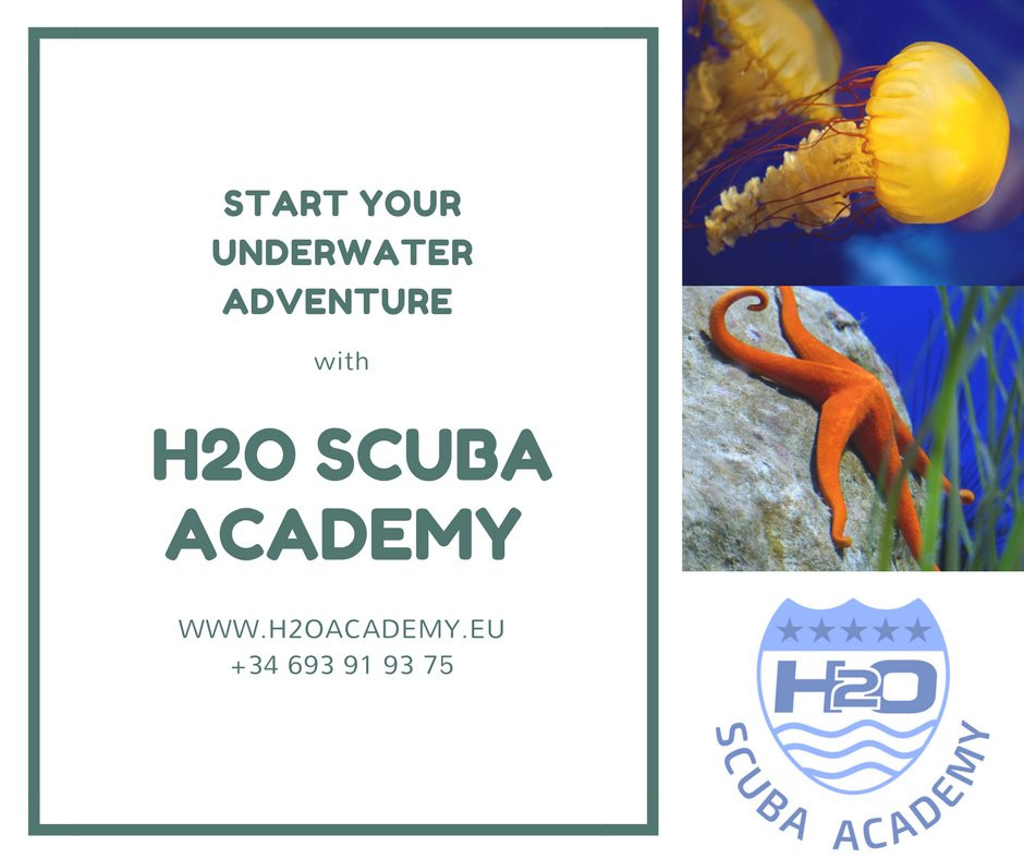 H2O Scuba Academy景点图片
