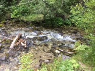 Lost Creek State Park景点图片