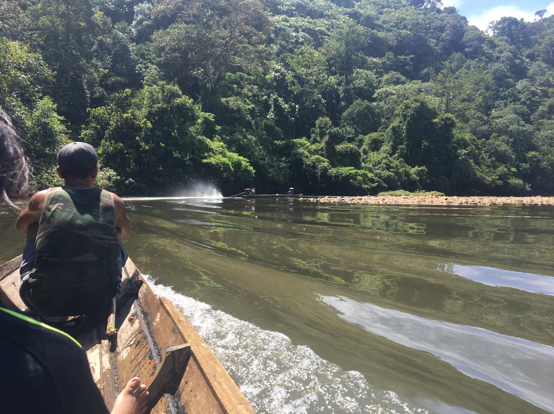 Penan Peace Park Long Kerong-美里必去景点