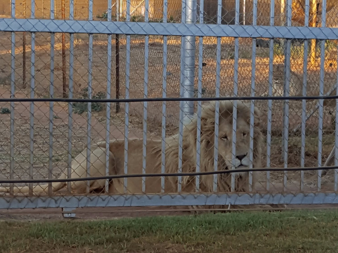 Loebies Gasteplaas-贝拉贝拉必去景点