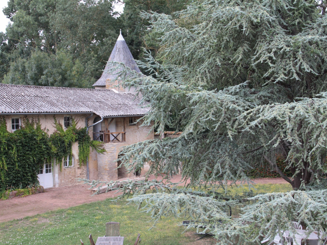 Le Logis de la Foret主图