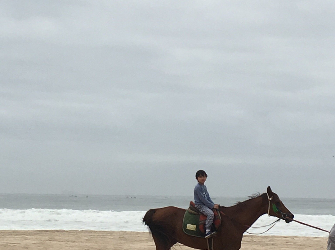 Salalah Horse Riding-塞拉莱必去景点