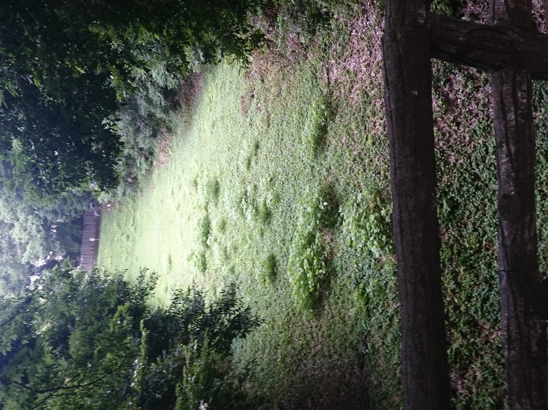 Shiroyama Park-小山市必去景点