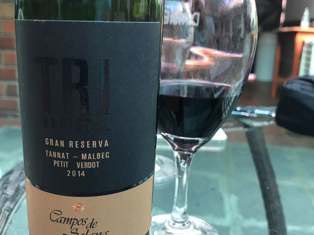 Bodega Campos de Solana-塔里哈必去景点