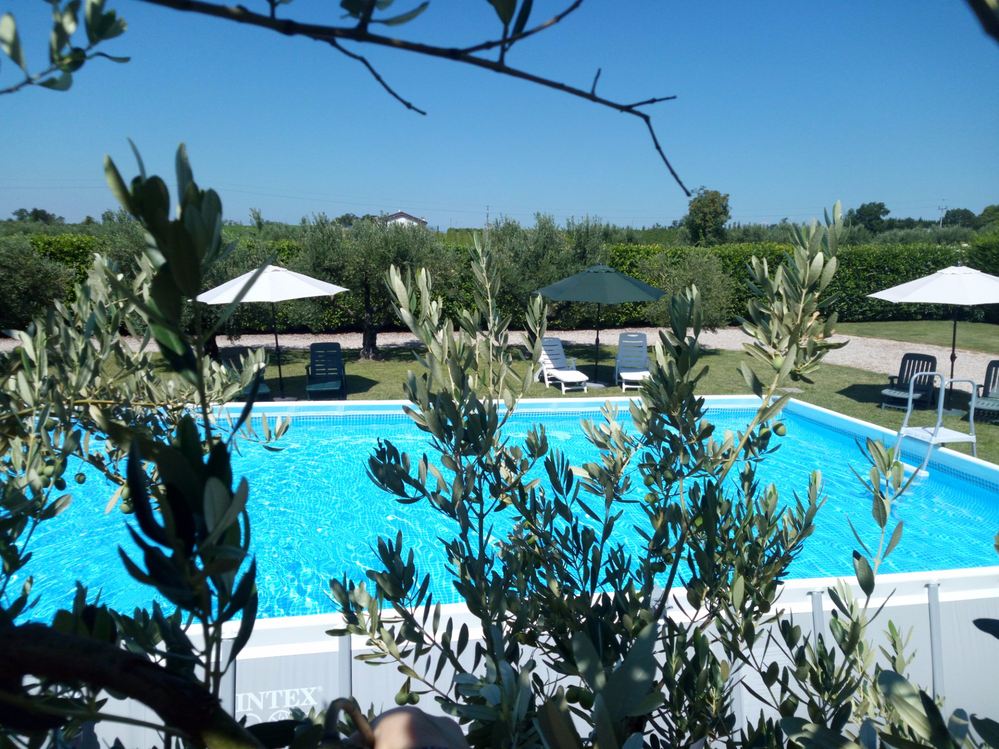 Bed and Breakfast Corte Tacconi-官方