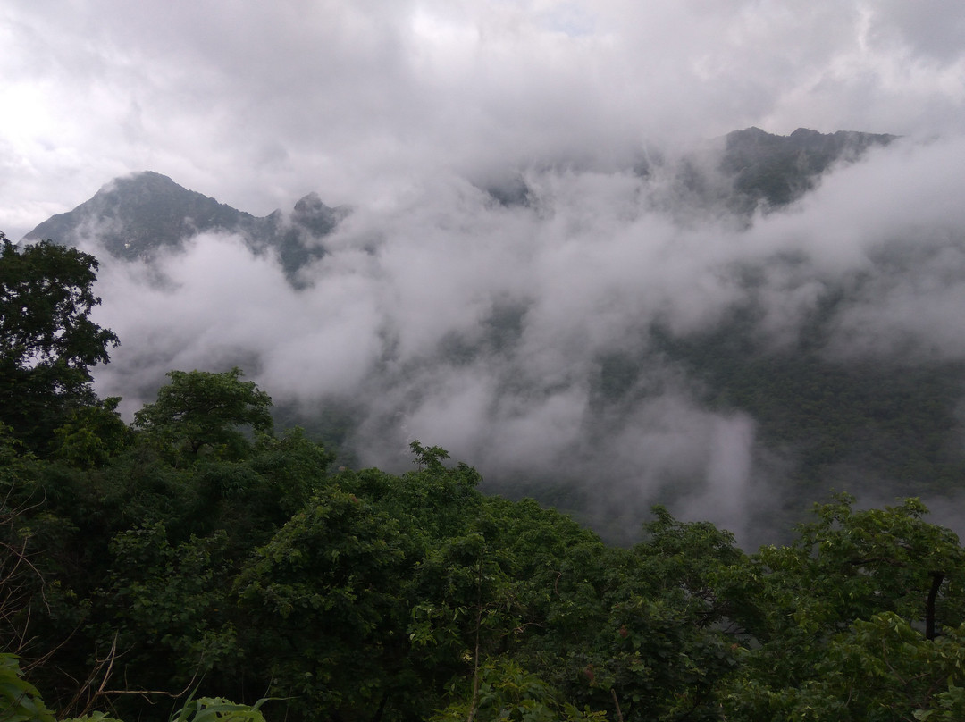 Mount Adventure Camp景点图片
