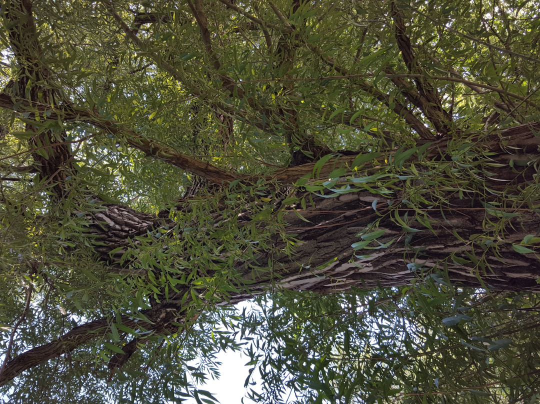 Winnewissa Falls-Pipestone必去景点