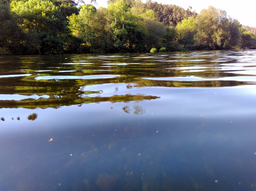 Playa Fluvial de Tapia景点图片