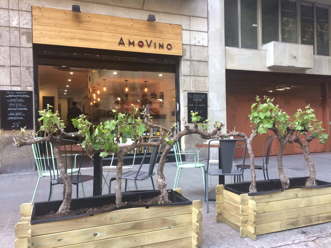 AmoVino