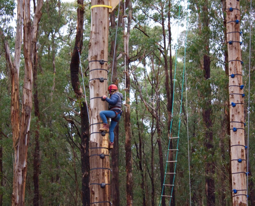 Kinglake Forest Adventures-Kinglake必去景点