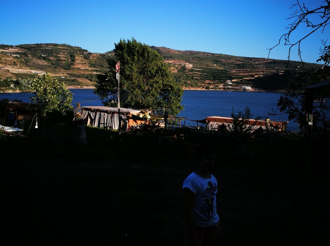 Bambook Park-马萨达必去景点