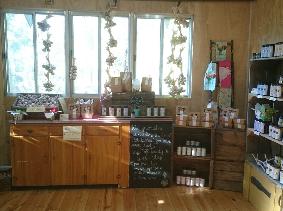 Katamatite Garlic-Katamatite必去景点