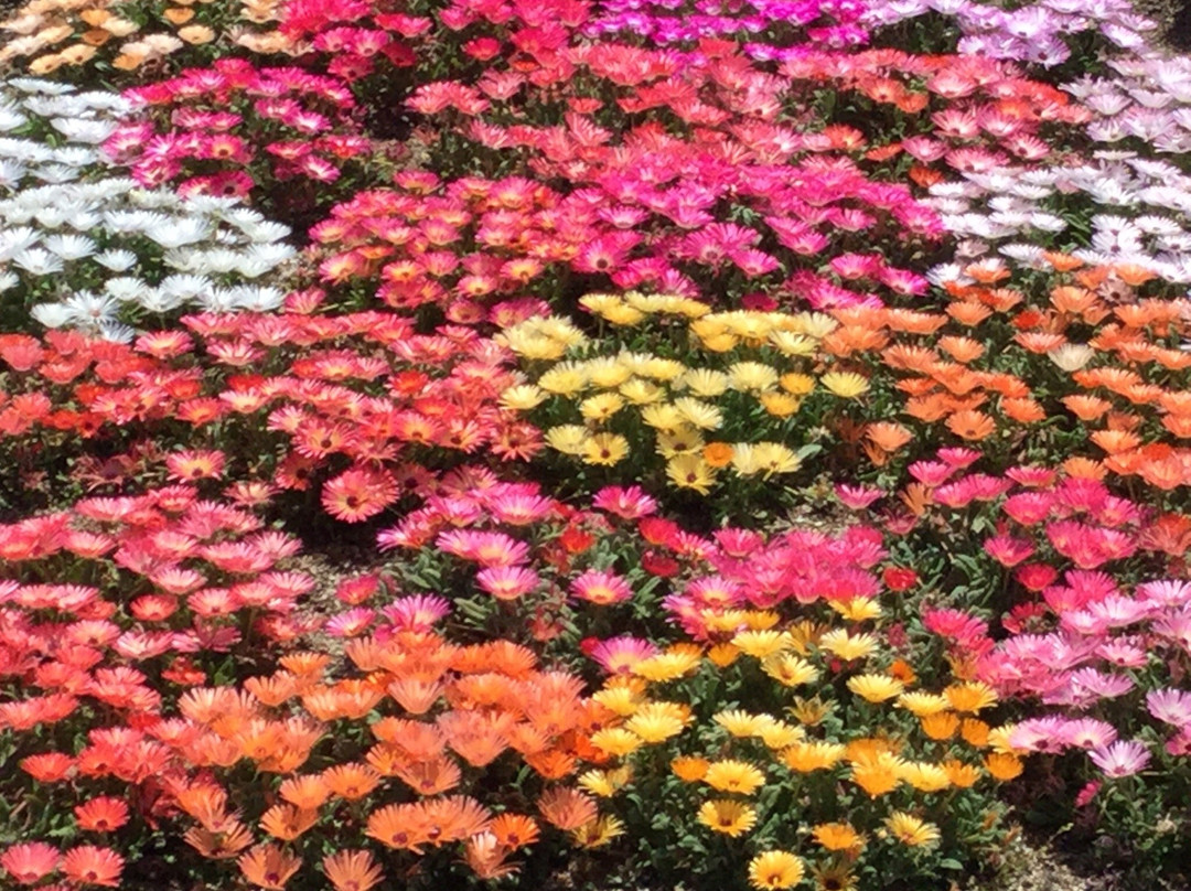 Kaki Research Supervision Room-东温市必去景点