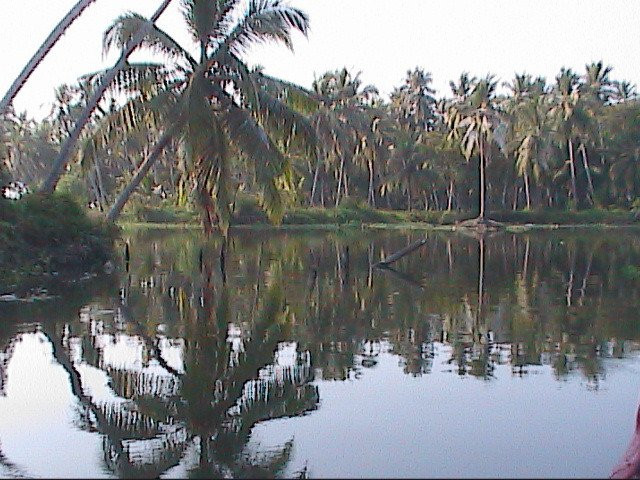 Karamana River景点图片