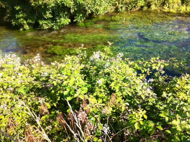 Parco Naturale del "Cellina Meduna"景点图片