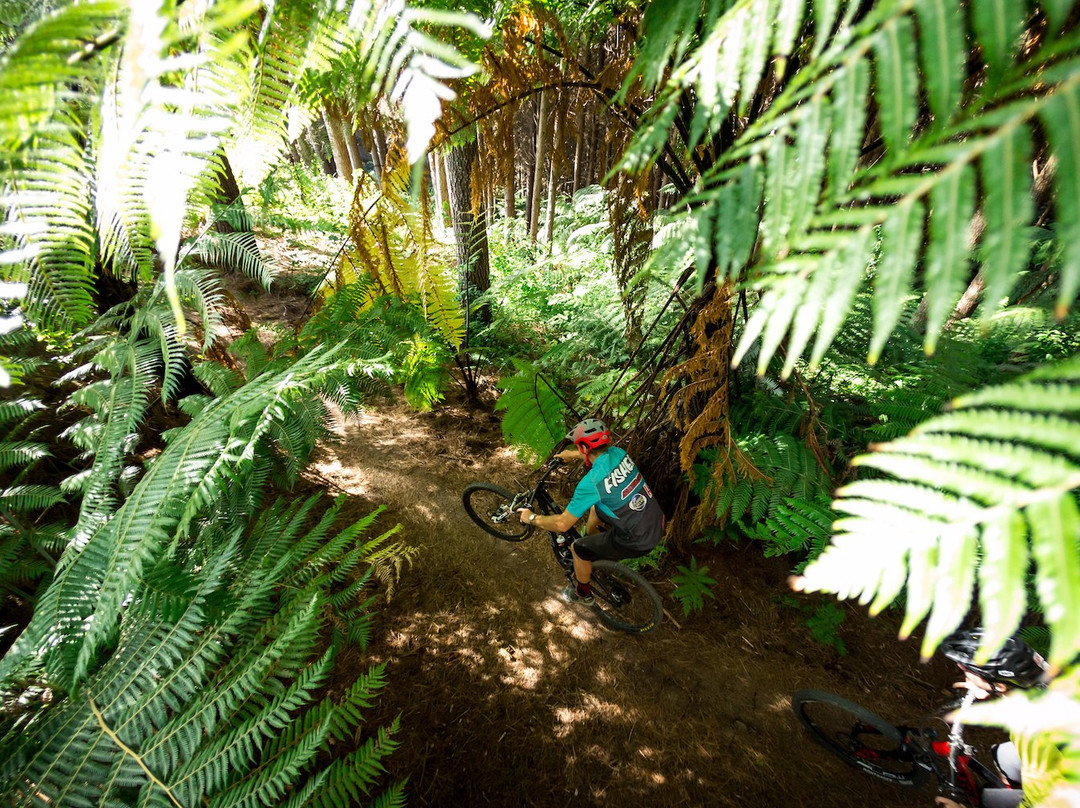 Fourforty Mountain Bike Park-Orere Point必去景点