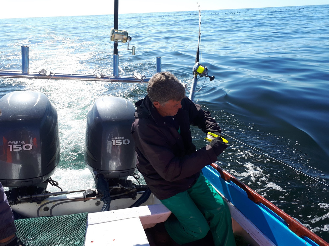Out On The Bay Charters-St. Helena Bay必去景点