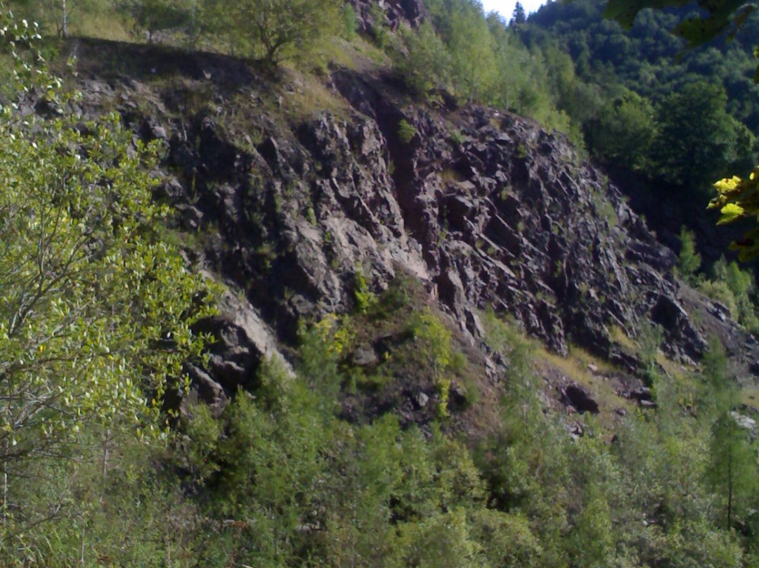Nowy Dwor Castle Ruins景点图片