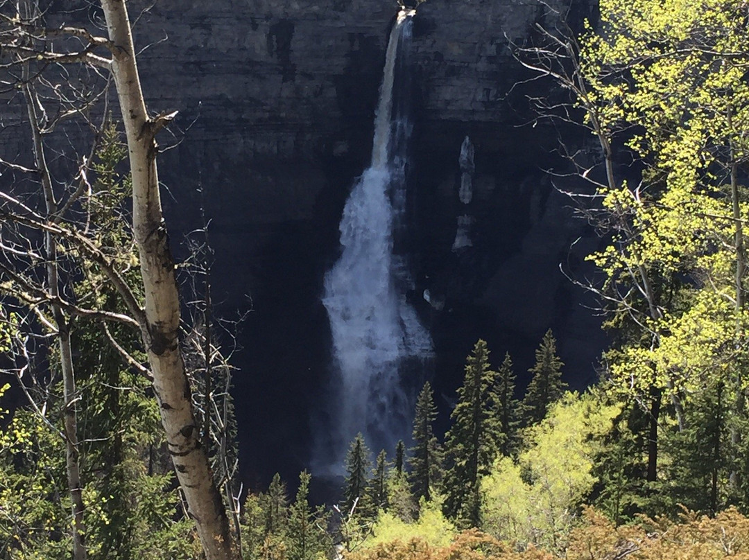Bergeron Falls-Tumbler Ridge必去景点