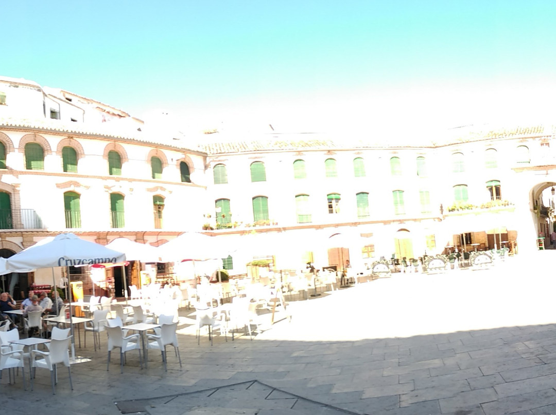 Plaza Ochavada景点图片