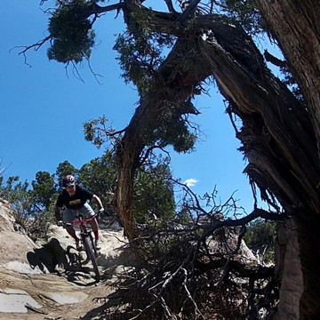 Colorado Backcountry Biker-弗鲁塔必去景点