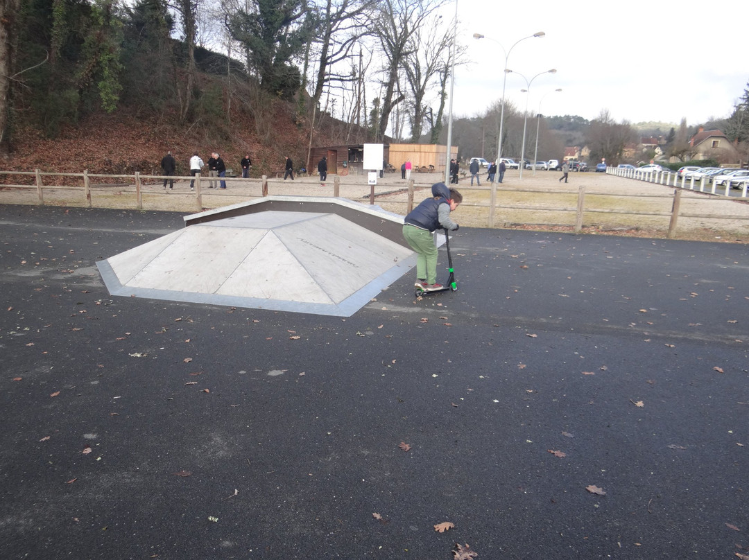 Skatepark Carsac景点图片