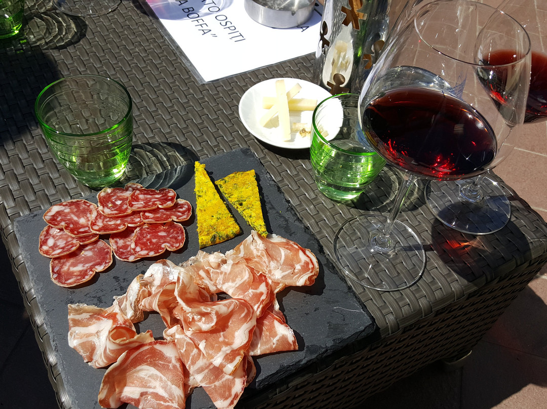 Azienda Vitivinicola Boffa Carlo-巴尔巴雷斯科必去景点