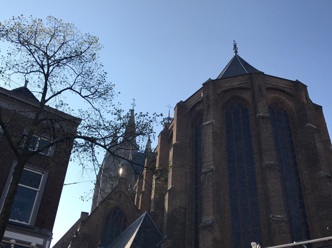 Canal Hopper Delft-代尔夫特必去景点