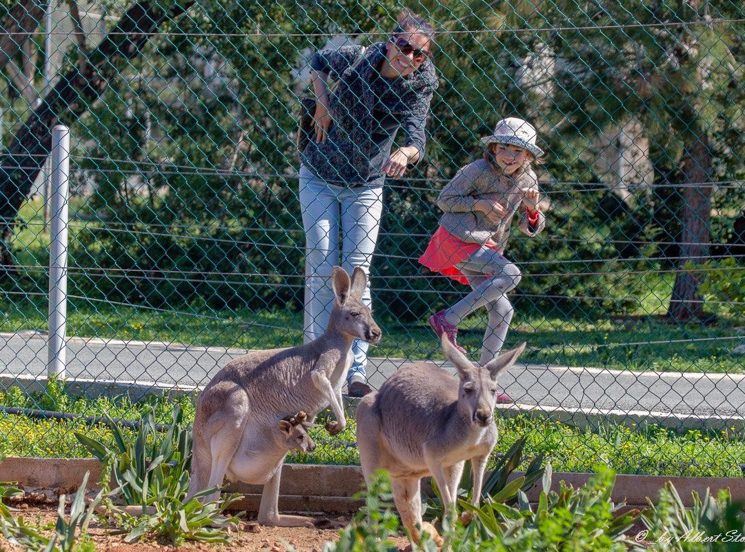 Pafos Zoo