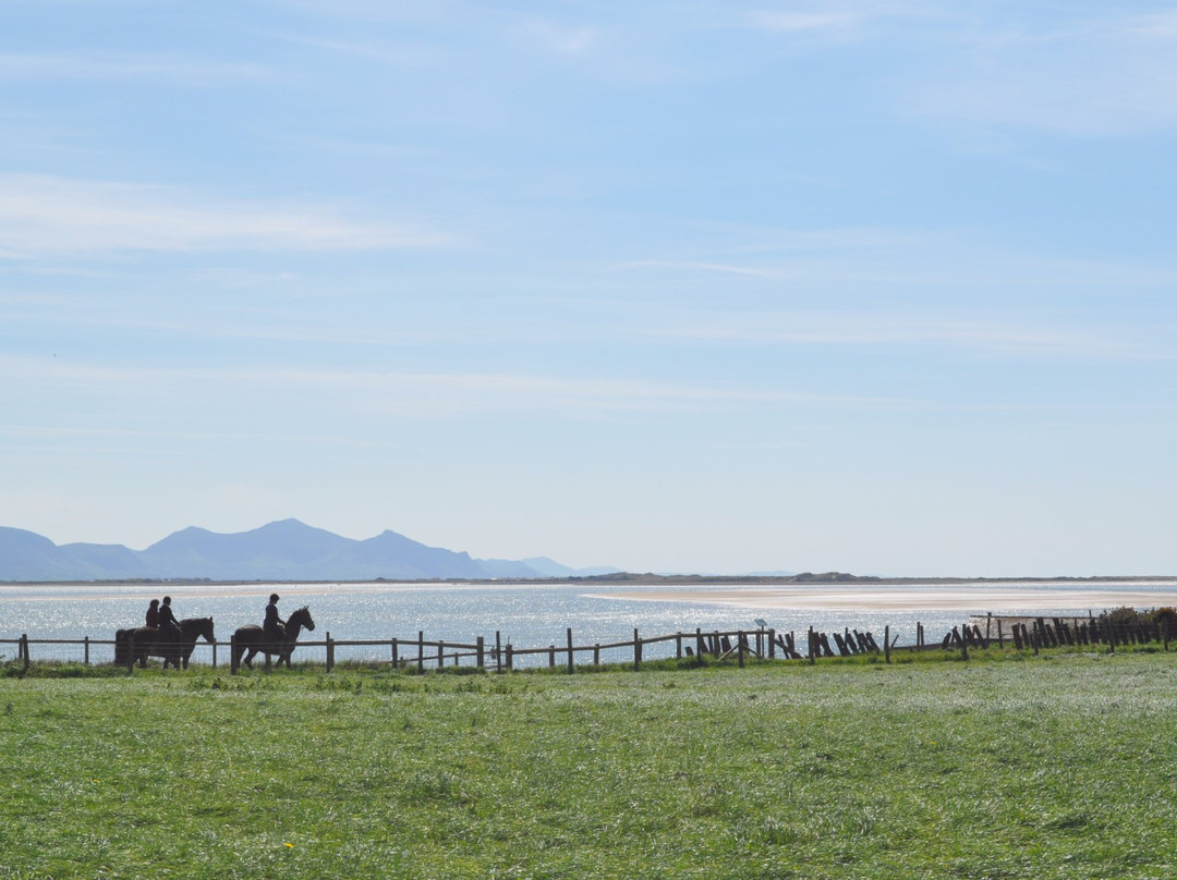 Anglesey Riding Centre景点图片