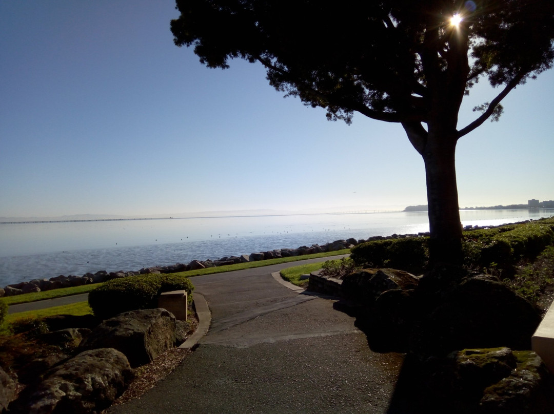 Bayfront Park-密尔布瑞必去景点
