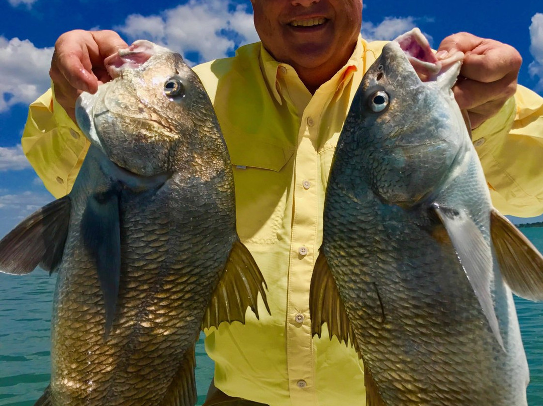 Captain Dustin Fishing Charters-Holiday必去景点