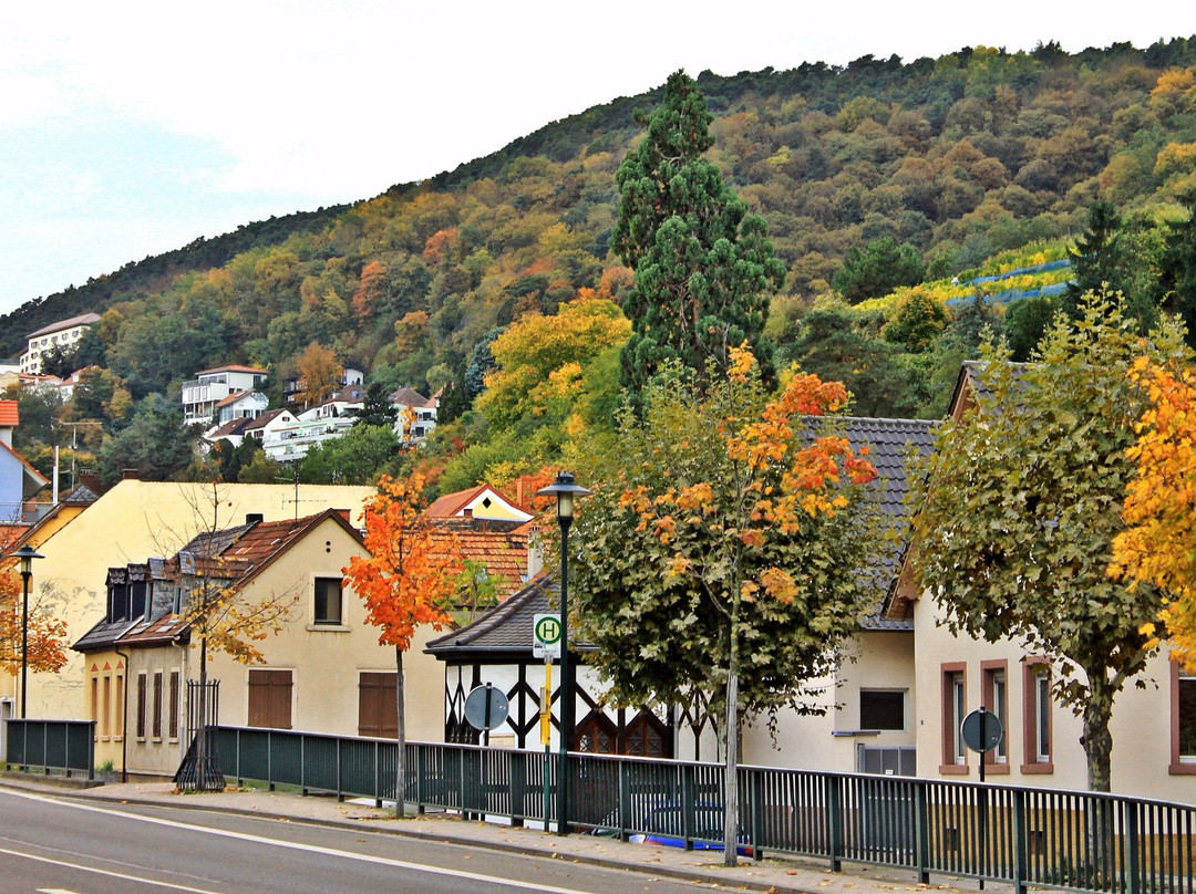 Salzgrotte-巴特迪克海姆必去景点