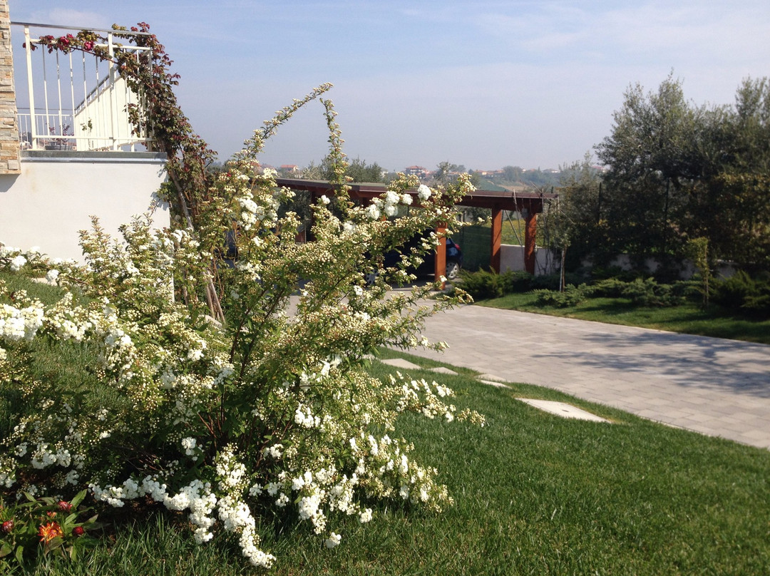 B&B Gioia In Collina主图