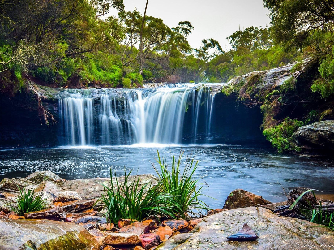 Budderoo National Park景点图片