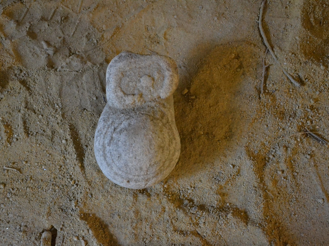 Museo dei Botroidi di Luigi Fantini景点图片