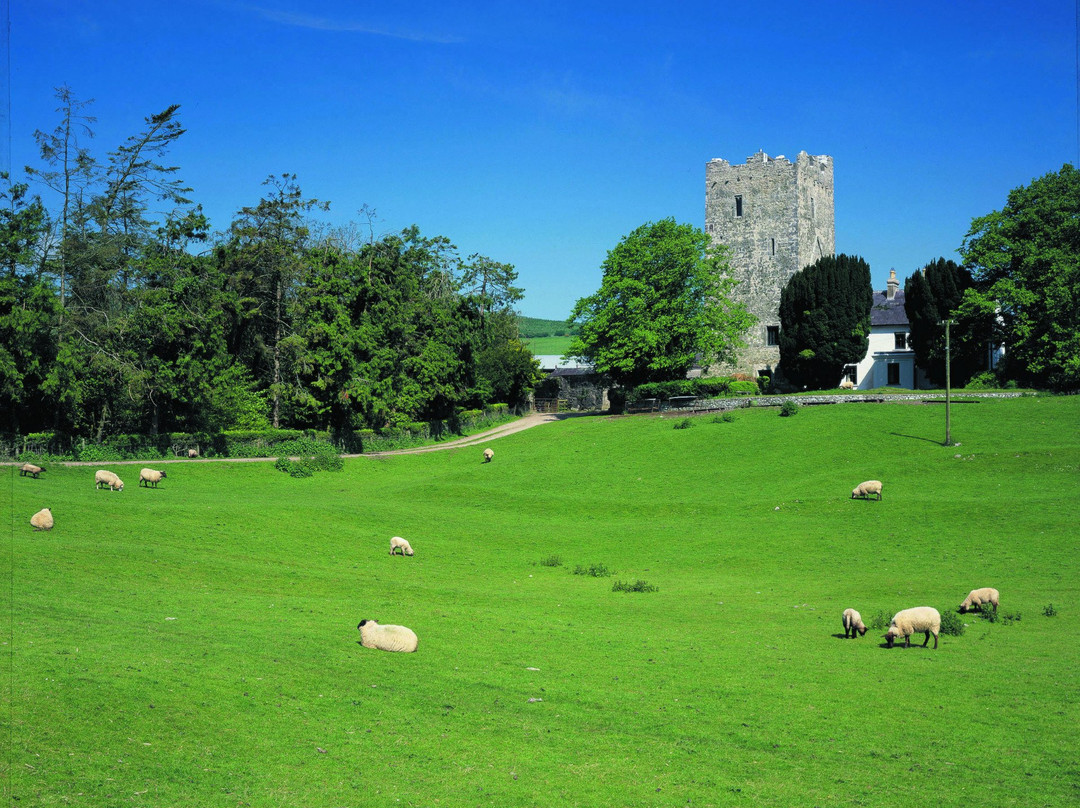Clomantagh Castle
