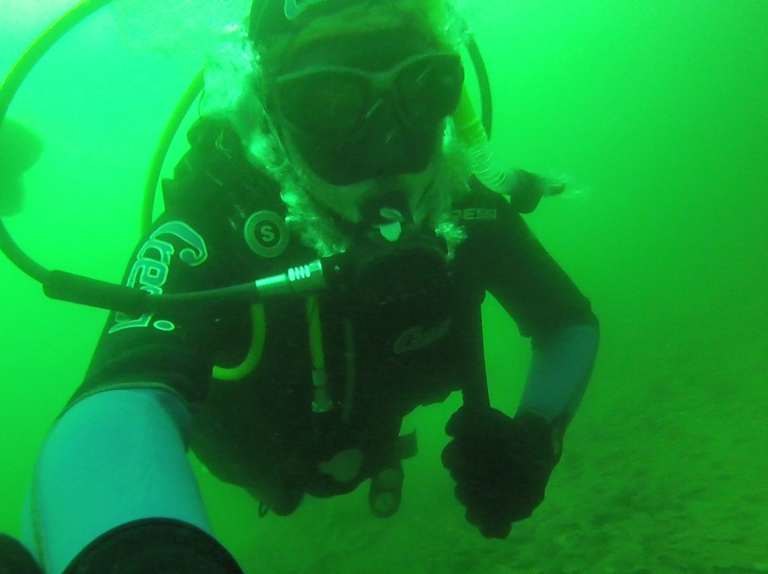 Waikawa Dive Centre景点图片