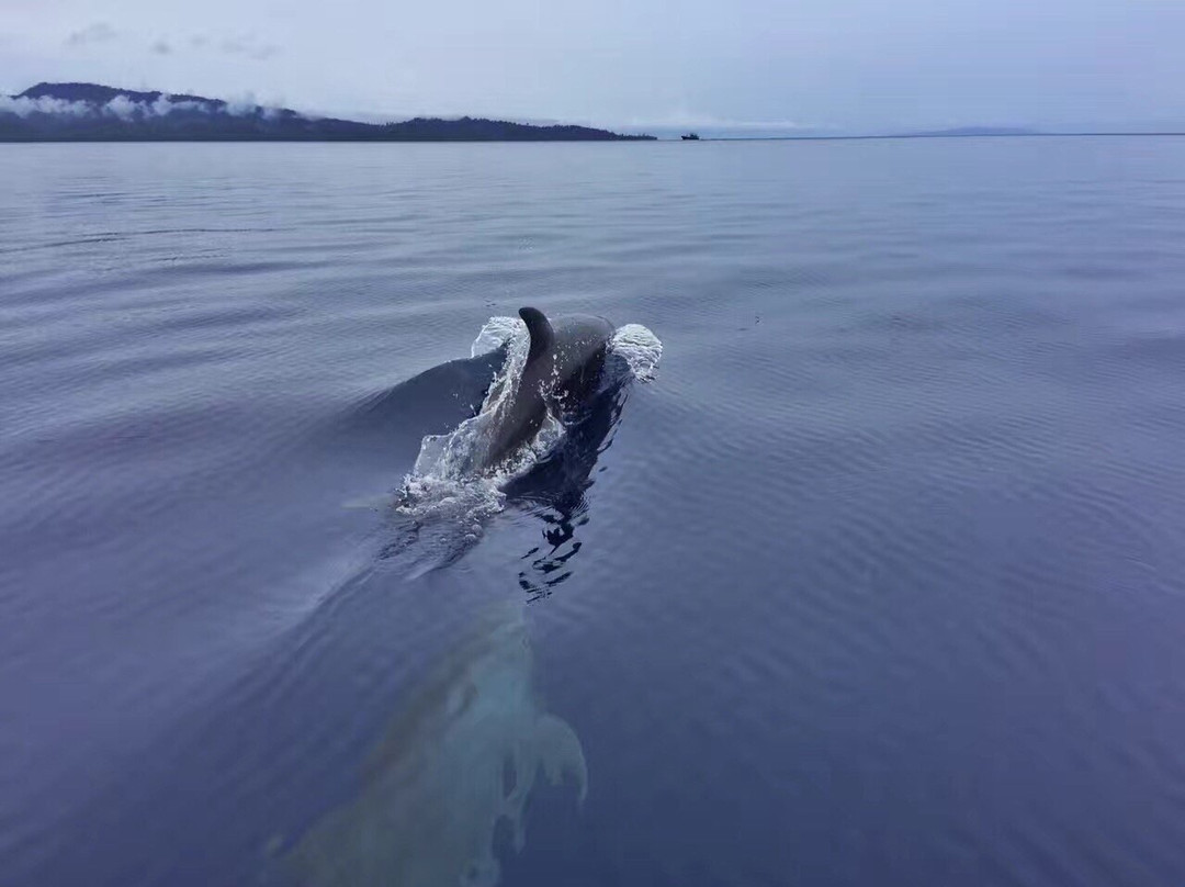 Putih Lessi Indah主图