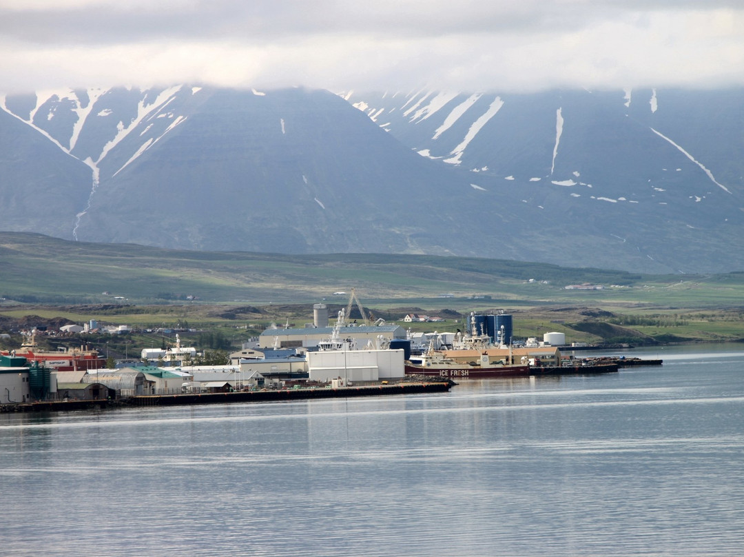 Estuary of the river Eyjafjardará-阿克雷里必去景点
