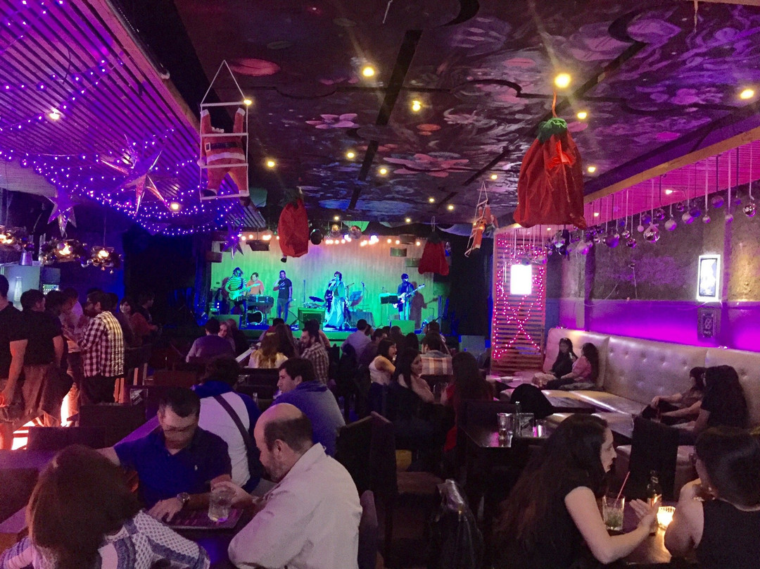 Magnolia Bar-奇廉必去景点