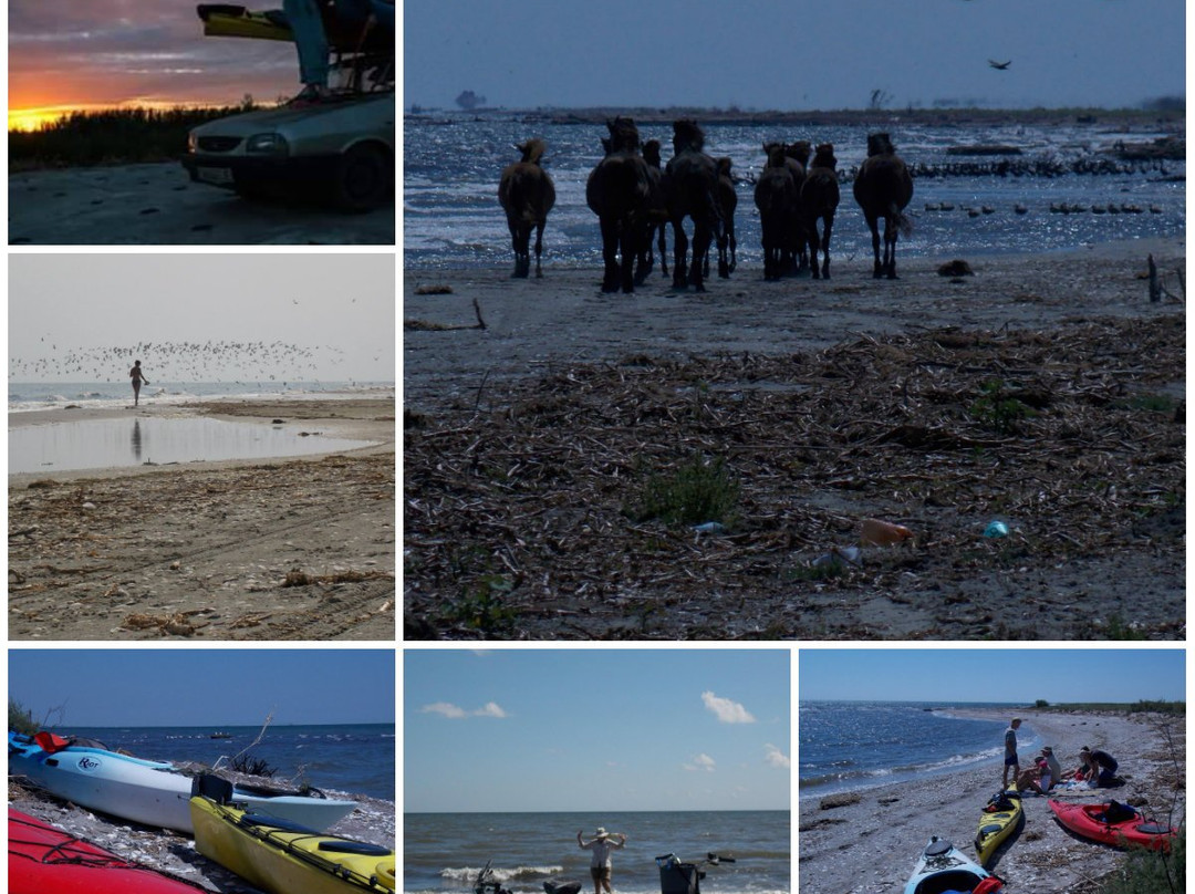 Kayaking and Biking Sulina, Danube Delta景点图片