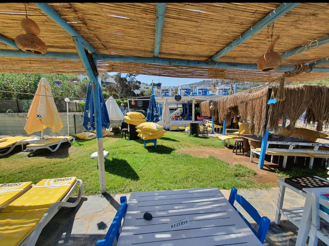 Cluboceanbeach