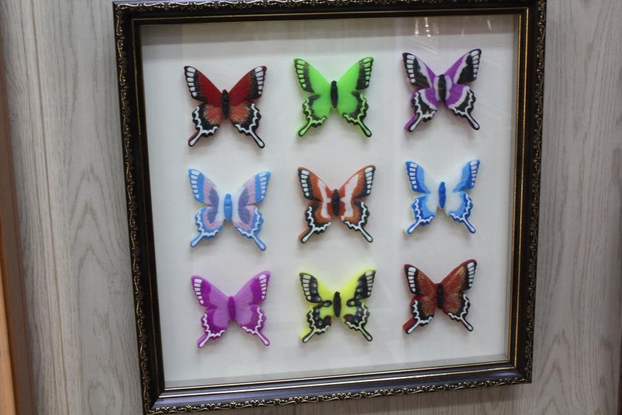 Apartment Museum of Butterfly and Dragonfly-Kasimov必去景点